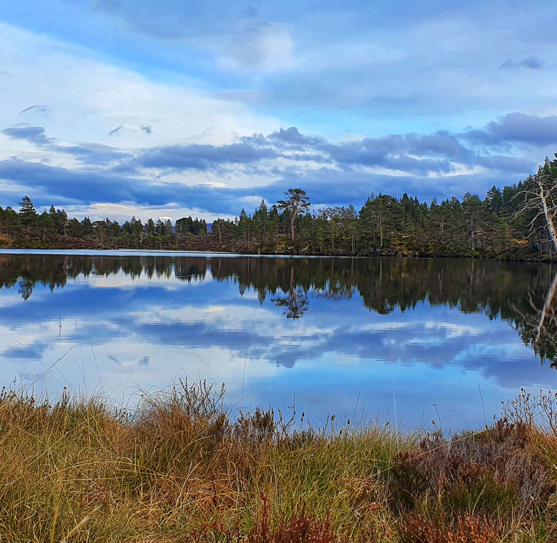 Turbo Vellies vs Hyena