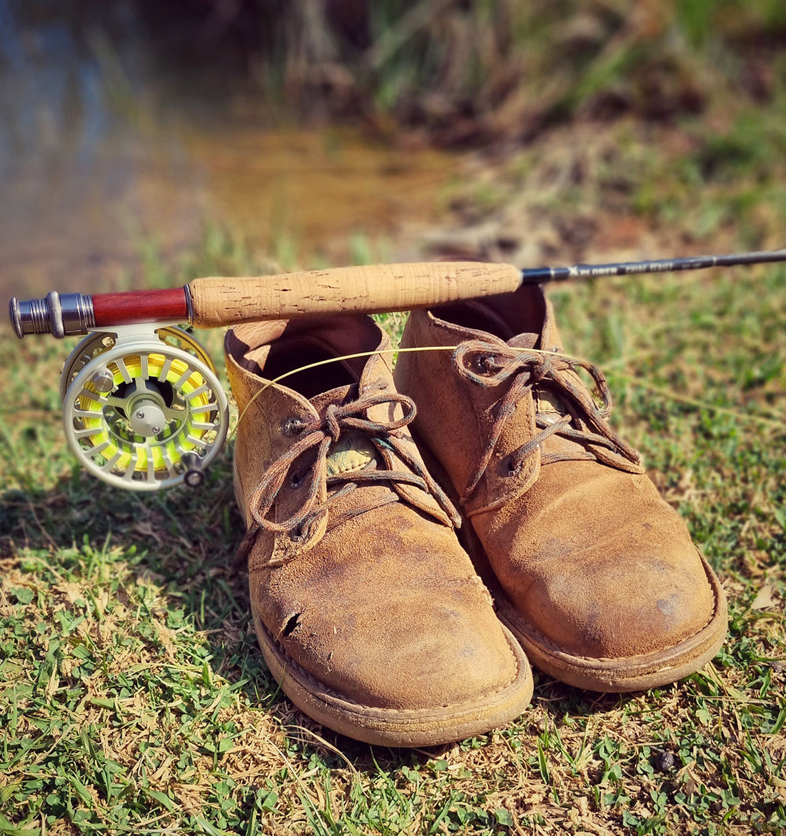 Turbo Vellies vs Hyena