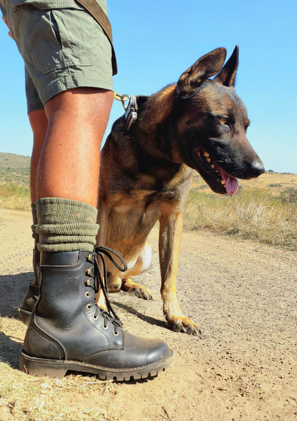 KwaZulu-Natal savanna and rhino habitat