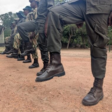 Standing firm: The Tashinga Initiative