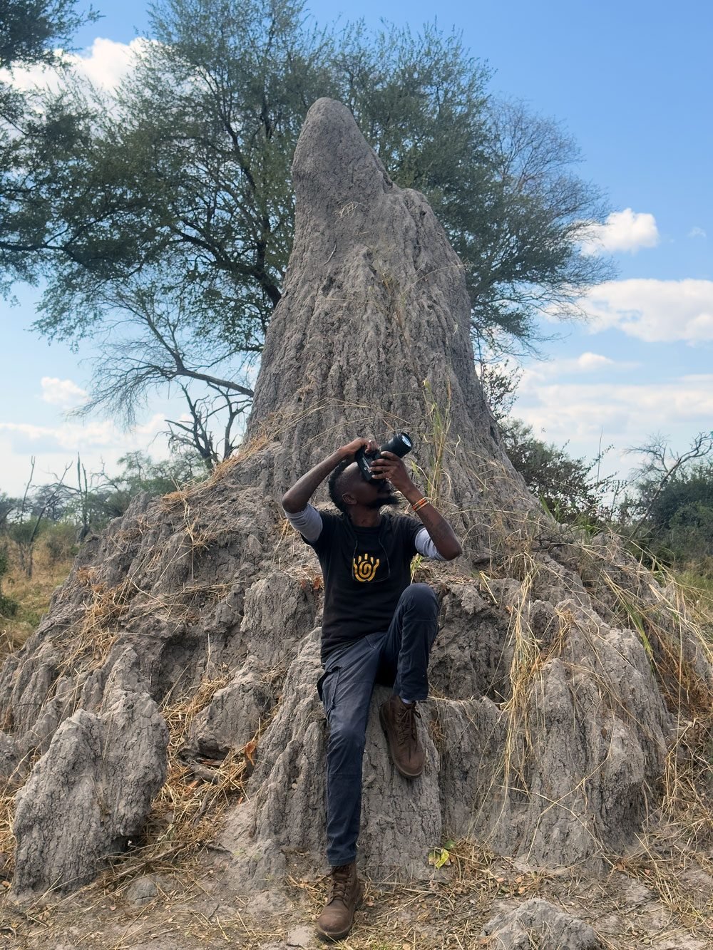 Wildlife encounter at camp with lions and an elephant near a filmmaker's tent