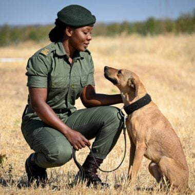 From 40km patrols to frontline rescues