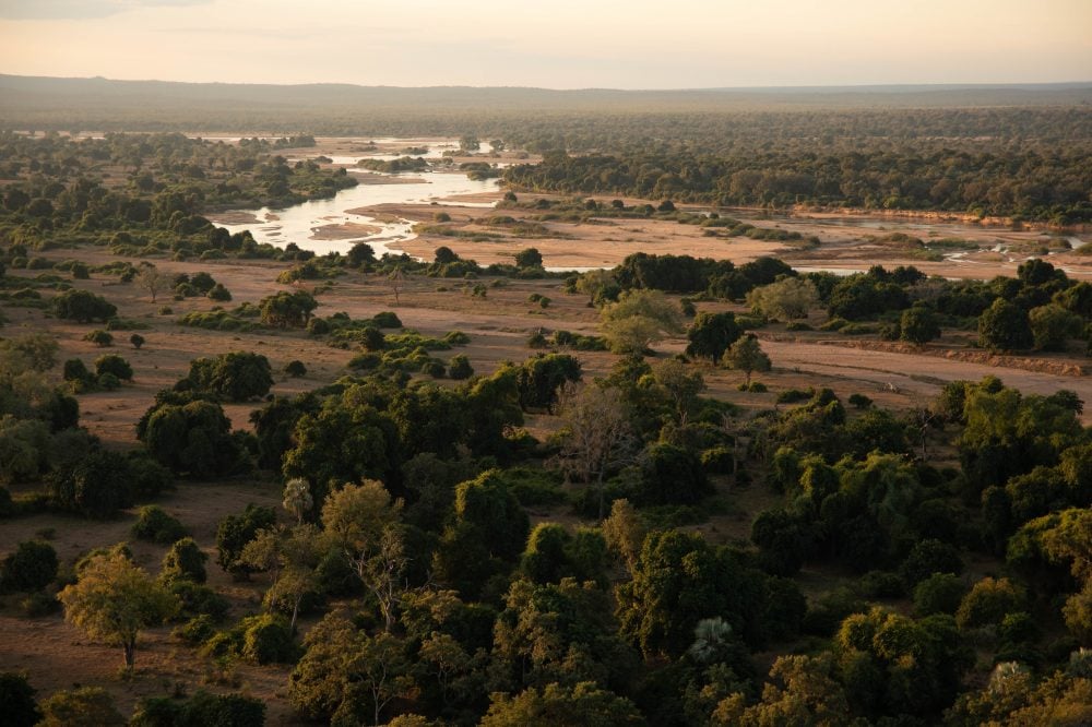 Ranger training and field readiness supporting rhino and pangolin conservation work