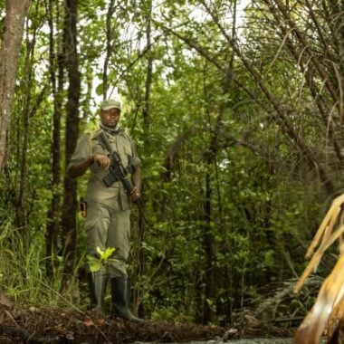 Hunting for Conservation with Paul Stones