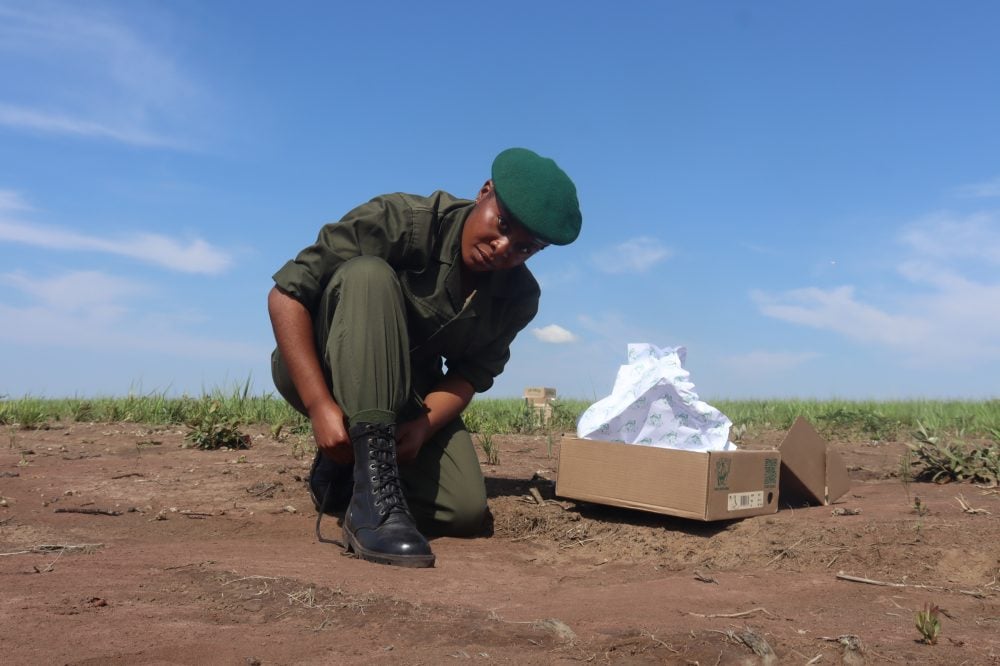 Ranger lacing up Jim Green AR8 boots