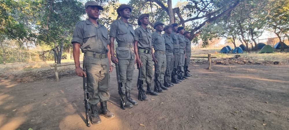 Ranger patrol team monitoring signs of illegal activity