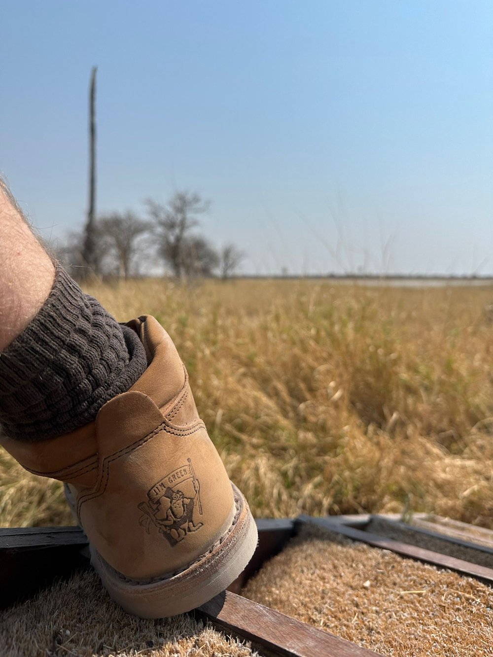 Person wearing a Jim Green African Ranger boot stepping into a dry grassy landscape