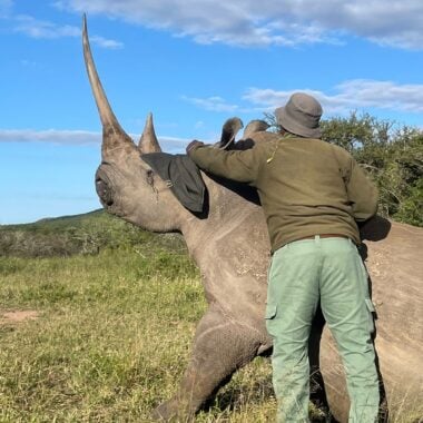 Reawakening a Giant: Rangers are Giving Kafue a Second Life