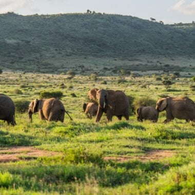 Training rangers in the Savé Valley