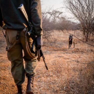 Northern Tuli Game Reserve: Where Three Countries Meet, One Ranger Holds the Line
